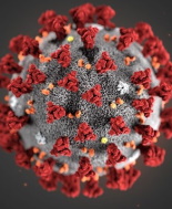 Covid-19, meno casi ma sale la positività al virus. Cautela degli esperti su eliminazione mascherina